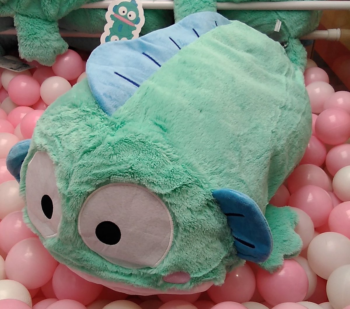ハンギョドンの大きなクッションが入荷しましたナムコ限定景品です！#ハンギョドン [ワンダーシティ札幌 プラボ札幌西町店【Twitter】]