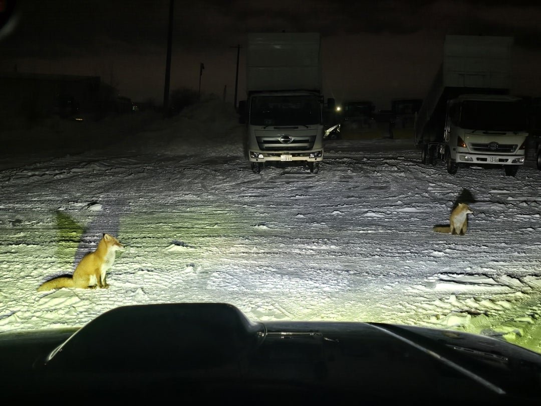 るーるるる [idaカーコーティング担当まさるのブログ]