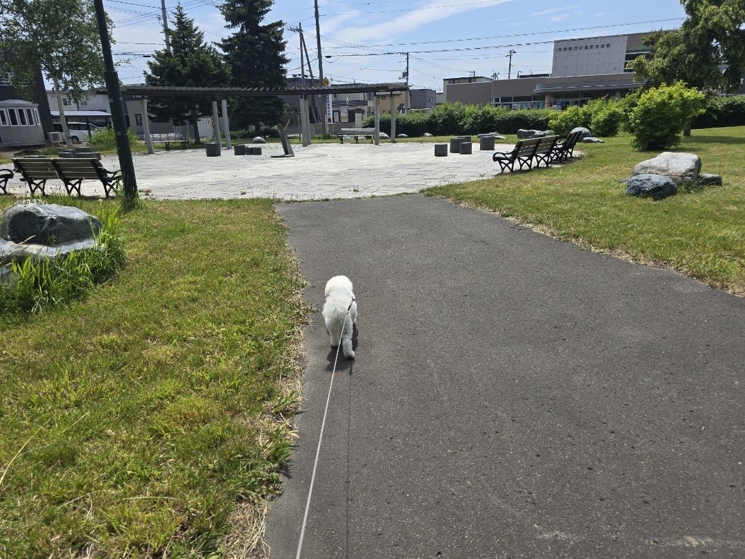 ヒマとは・・・ [idaカーコーティング担当まさるのブログ]
