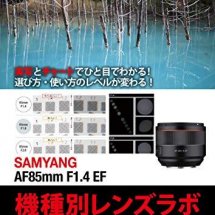 カメラレンズ選びのための詳細な解説書を北海道・千歳市から全国に配信。『SAMYANG AF85mm F1.4 EF 機種別レンズラボ』を出版。