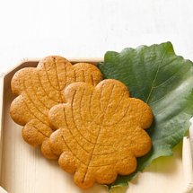 【😊会員プレゼント😊】縁起の良い“柏の葉”のお菓子 、 「きのとやサブレー 福かしわ 」  新発売！