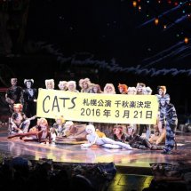 【劇団四季】ミュージカル『キャッツ』札幌公演　千秋楽が2016年3月21日に決定！