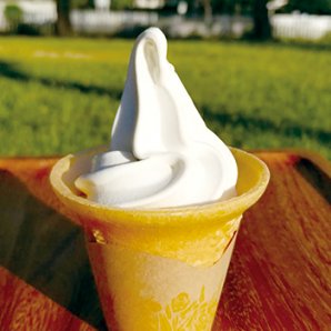 家族みんなで食べたくなるコスパ最強の絶品ソフトクリーム！