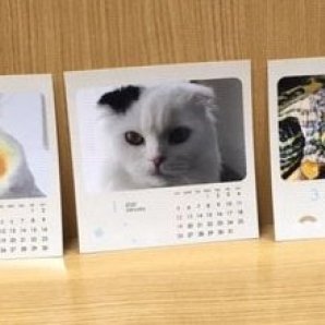 「ネットで写真プリント」でカレンダー作成  猫ちゃん、オカメインコのピロリちゃん12歳、うちの亀ちゃんでカレンダー作成。89×89スクエア、... [プリントハウス【Twitter】]