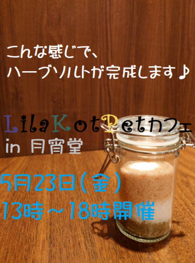 LilaKotPet(りらこっぺ)カフェ in 月宵堂