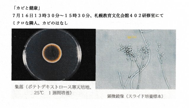 カビと健康