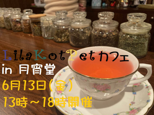 LilaKotPet(りらこっぺ)カフェ in 月宵堂