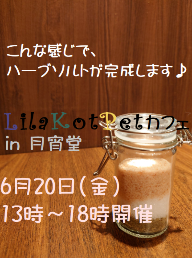 LilaKotPet(りらこっぺ)カフェ in 月宵堂