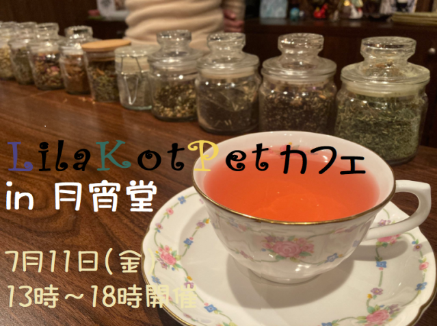 LilaKotPet(りらこっぺ)カフェ in 月宵堂