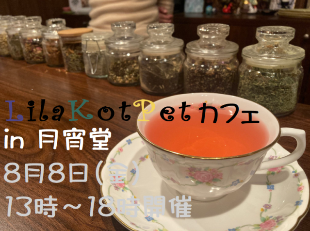 LilaKotPet(りらこっぺ)カフェ in 月宵堂