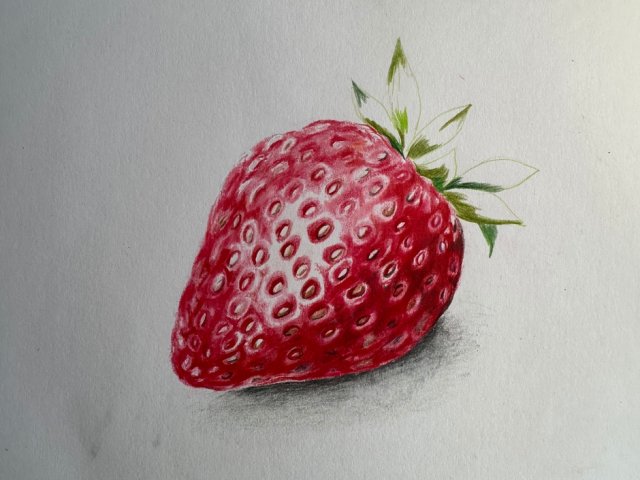 色鉛筆絵画教室