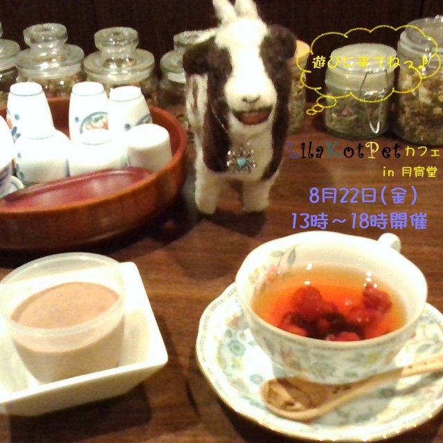 LilaKotPet(りらこっぺ)カフェ in 月宵堂