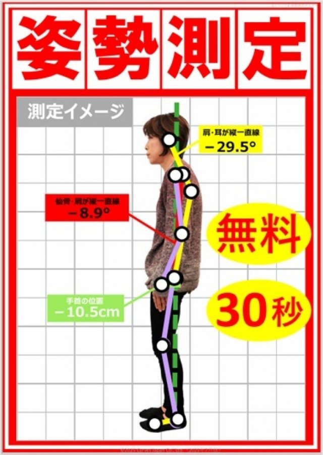 姿勢測定(関節確度チェック　肩・腰・ひざ・姿勢が気になる方)