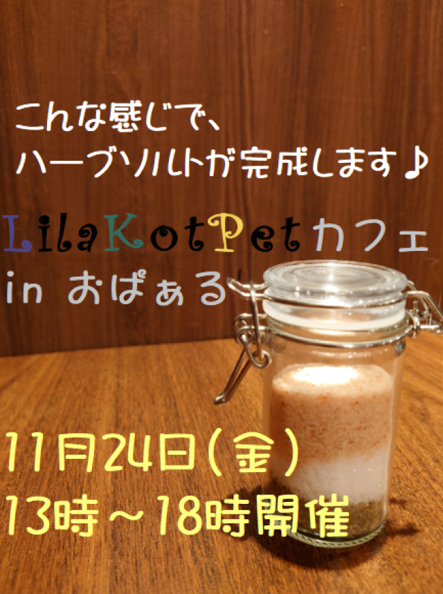 LilaKotPet(りらこっぺ)カフェ in おぱぁる