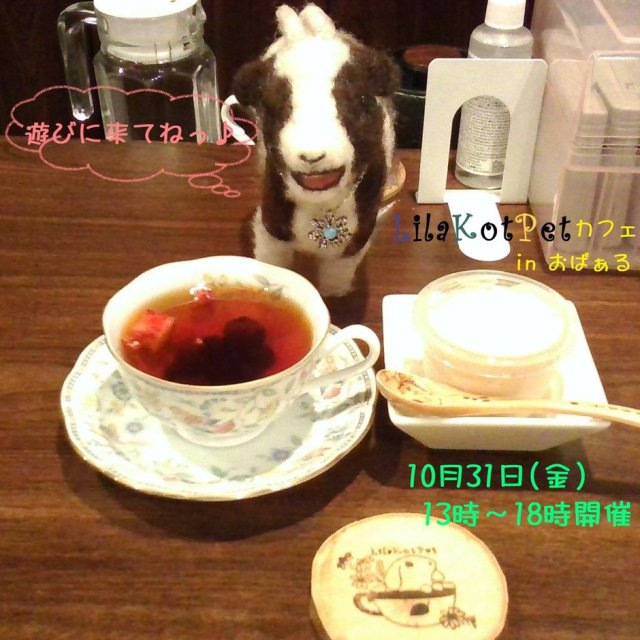 LilaKotPet(りらこっぺ)カフェ in おぱぁる