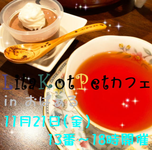LilaKotPet(りらこっぺ)カフェ in おぱぁる