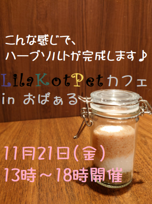 LilaKotPet(りらこっぺ)カフェ in おぱぁる