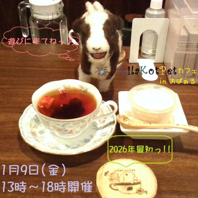 LilaKotPet(りらこっぺ)カフェ in おぱぁる