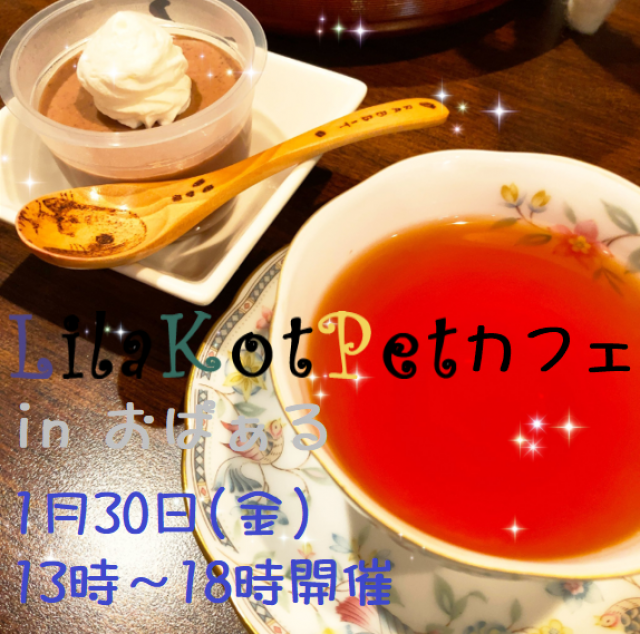 LilaKotPet(りらこっぺ)カフェ in おぱぁる