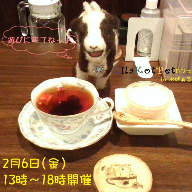 LilaKotPet(りらこっぺ)カフェ in おぱぁる