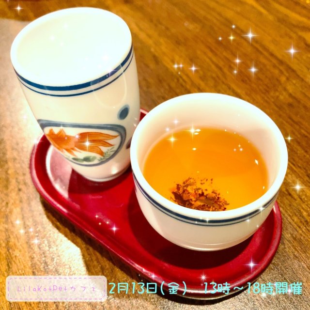 LilaKotPet(りらこっぺ)カフェ in おぱぁる