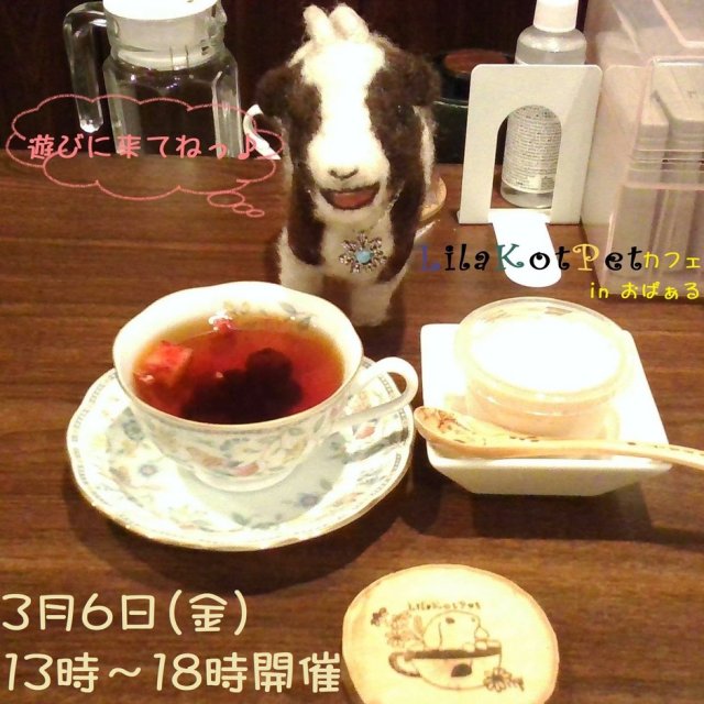 LilaKotPet(りらこっぺ)カフェ in おぱぁる