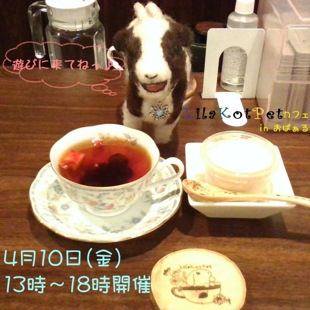 LilaKotPet(りらこっぺ)カフェ in おぱぁる