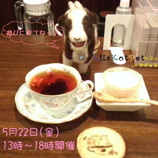 LilaKotPet(りらこっぺ)カフェ in おぱぁる