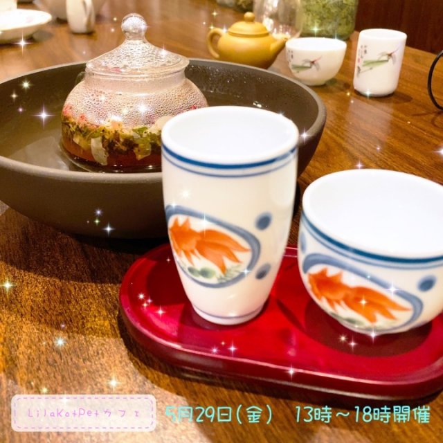 LilaKotPet(りらこっぺ)カフェ in おぱぁる