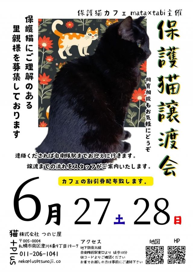 保護猫譲渡会