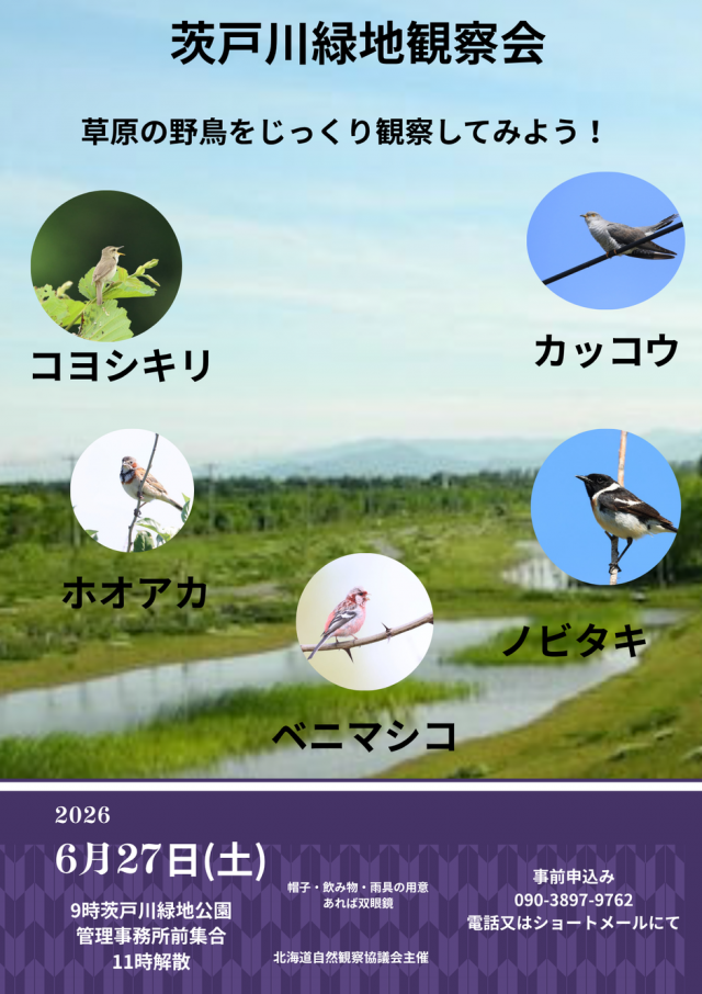 茨戸川緑地観察会～草原の野鳥をじっくり観察してみよう～