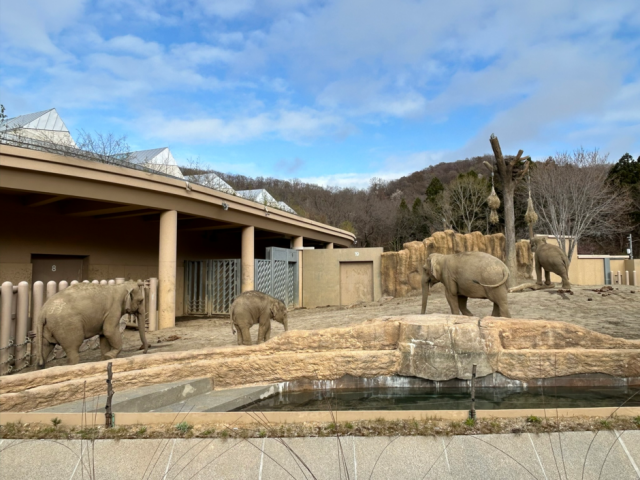 札幌市円山動物園の舞台裏をデザインから見る・考える