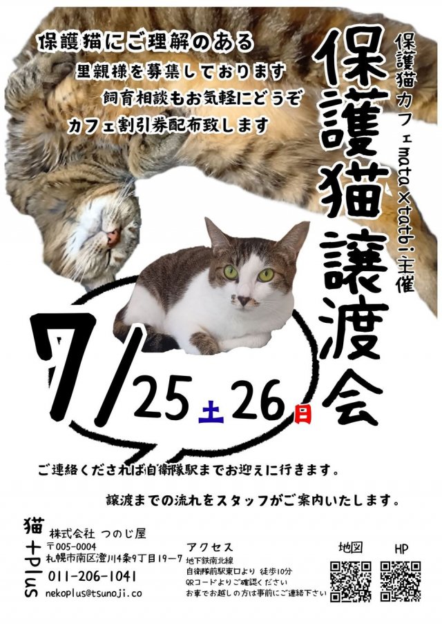 保護猫譲渡会