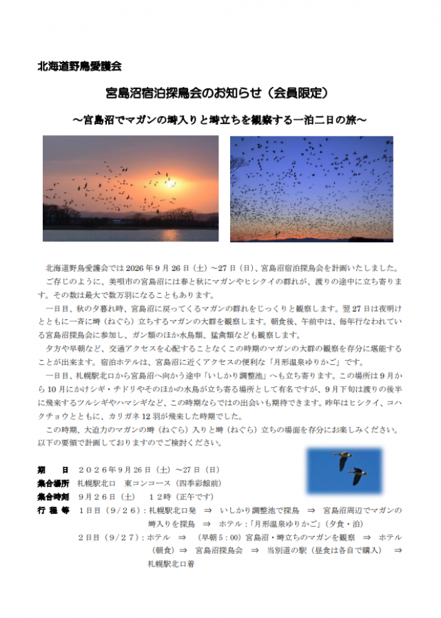 北海道野鳥愛護会 　宮島沼宿泊探鳥会のお知らせ　