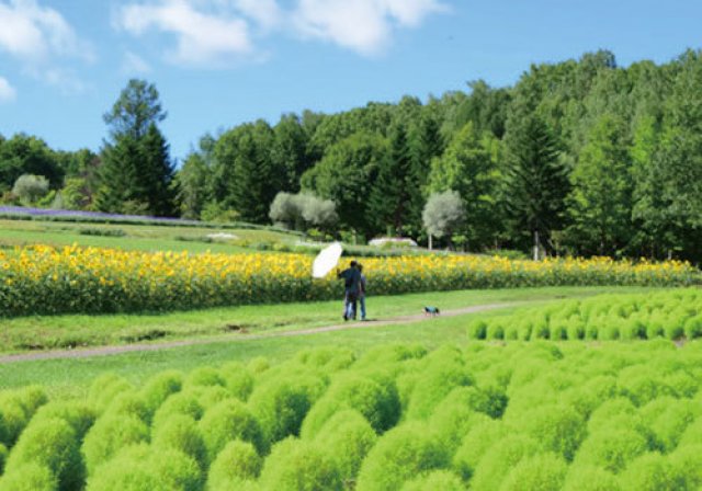 子どもも“おとな”も今年の夏は滝野で。滝野のなつやすみ