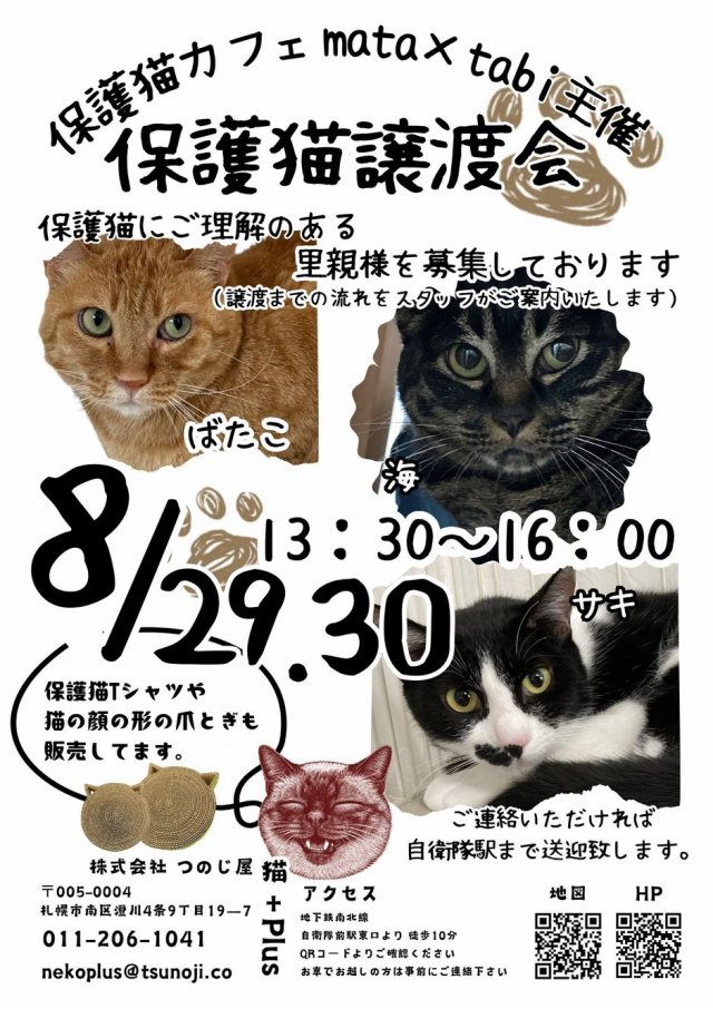 保護猫譲渡会