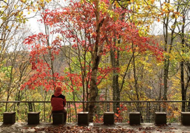 晩秋の滝野公園で色とりどりの紅葉を満喫しよう♪　たきの紅葉まつり2026