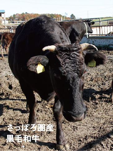 北広島黒毛和牛