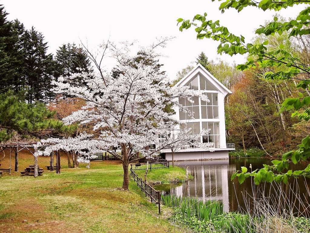 サクラの名所 紅櫻公園が この春リニューアルオープン 札幌のお店 イベント 動画やレシピ情報 ふりっぱーweb